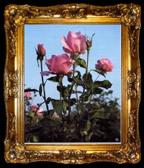framed  unknow artist Still life floral, all kinds of reality flowers oil painting  132, ta009-2